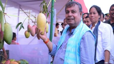 Monsoon Mango Festival: Tripura to expand mango cultivation, boost infra for growers Monsoon Mango Festival: Tripura to expand mango cultivation, boost infra for growers