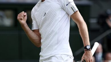 Wimbledon: Zverev races past Royer, another high-profile win for Berrettini; wildcard Fery in Rd 3 Wimbledon: Zverev races past Royer, another high-profile win for Berrettini; wildcard Fery in Rd 3