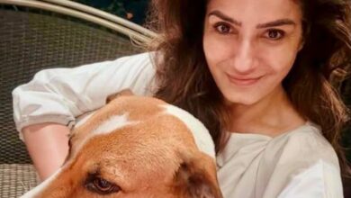 Raveena Tandon reveals how stray pup helped her bond better with Jacqueline Fernandez, Disha Patani on ‘WTTJ’ sets Raveena Tandon reveals how stray pup helped her bond better with Jacqueline Fernandez, Disha Patani on ‘WTTJ’ sets