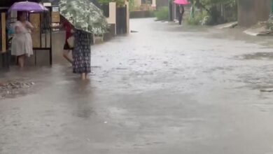 Rainfall picks up across Gujarat, Ahmedabad reports no monsoon-related complaints Rainfall picks up across Gujarat, Ahmedabad reports no monsoon-related complaints