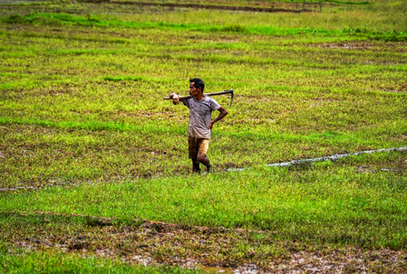 India’s economy now less vulnerable to monsoon shocks: Report