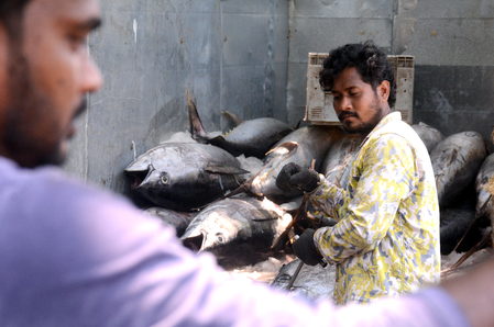 Lakshadweep aims to double tuna production to 50,000 tonnes in five years Lakshadweep aims to double tuna production to 50,000 tonnes in five years