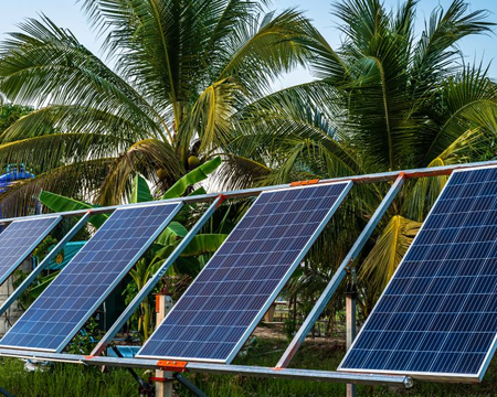TN sets new record in solar power generation as output touches 60.4 million units