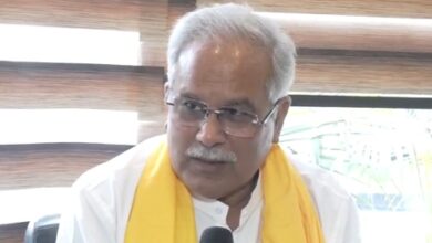 No infighting in state unit, differences will be sorted out: Punjab’s Cong in-charge (IANS Exclusive)