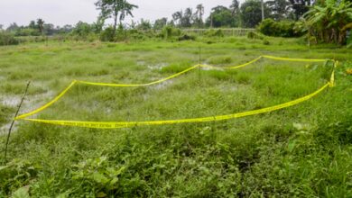 Bengal CID to probe, submit report on Baruipur encounter; judicial inquiry to continue