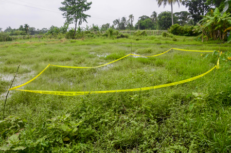 Bengal CID to probe, submit report on Baruipur encounter; judicial inquiry to continue Bengal CID to probe, submit report on Baruipur encounter; judicial inquiry to continue