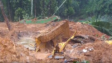 Wayanad landslide: Death toll climbs to five after 2 more bodies recovered; search on for missing three