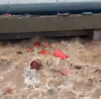 Maha monsoon fury: Around 3,000 LPG cylinders swept into river in Raigad after HPCL plant wall collapses Maha monsoon fury: Around 3,000 LPG cylinders swept into river in Raigad after HPCL plant wall collapses