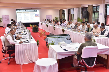 Standing Committee of NBWL reviews 118 proposals, emphasises wildlife protection Standing Committee of NBWL reviews 118 proposals, emphasises wildlife protection