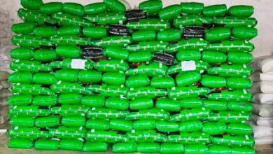 Over 26 tonnes of suspected adulterated fennel seeds seized in Gujarat’s Mehsana Over 26 tonnes of suspected adulterated fennel seeds seized in Gujarat’s Mehsana