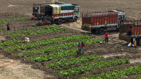 Gujarat scales up ‘Van Kavach’ forest model, 600 hectares planned in Gandhinagar Gujarat scales up ‘Van Kavach’ forest model, 600 hectares planned in Gandhinagar