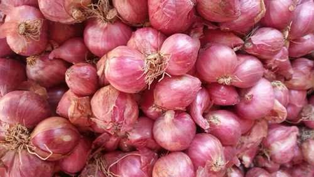 Onion prices jump in Chennai as Maharashtra supply drops, traders warn of further rise