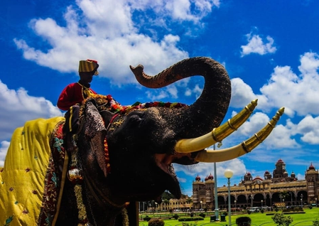 Karnataka Govt mulls ‘Kambala’ during Dasara; Royal family warns against ignoring people’s wishes Karnataka Govt mulls ‘Kambala’ during Dasara; Royal family warns against ignoring people’s wishes