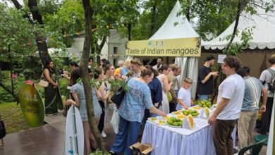 Indian mangoes to arrive in Russian stores, Embassy organises festival Indian mangoes to arrive in Russian stores, Embassy organises festival