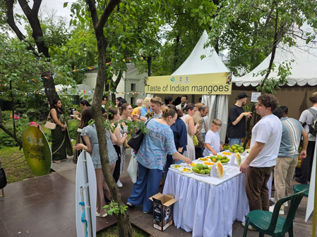 Indian mangoes to arrive in Russian stores, Embassy organises festival