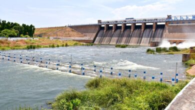 Vaigai dam level rises, easing drinking water concerns in five TN districts