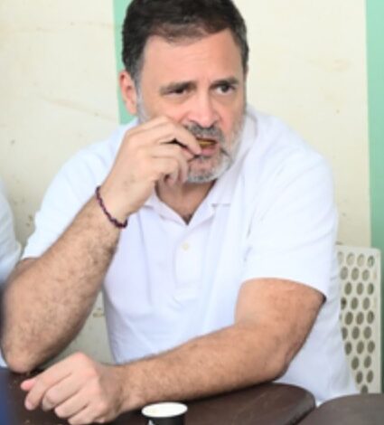 Where’s Rahul Gandhi? On familiar routine: launch, vanish, repeat