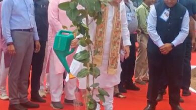 ‘My personal resolve’: Amit Shah targets 20 pc green cover in Gandhinagar by 2029