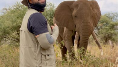 Tovino Thomas witnesses lion rescue operation live in Kenya; showers praise on wildlife authorities!