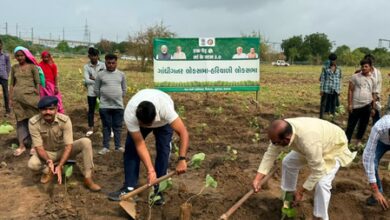 Western Railway targets over 8 lakh saplings in Ahmedabad Division under plantation drive
