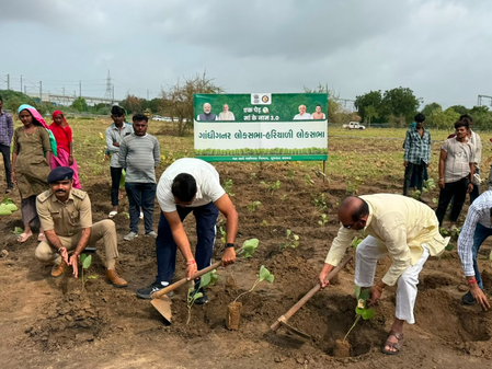 Western Railway targets over 8 lakh saplings in Ahmedabad Division under plantation drive Western Railway targets over 8 lakh saplings in Ahmedabad Division under plantation drive