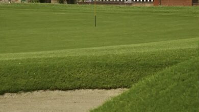 Three DGC golfers to represent India at 78th Singapore Open Amateur Championship