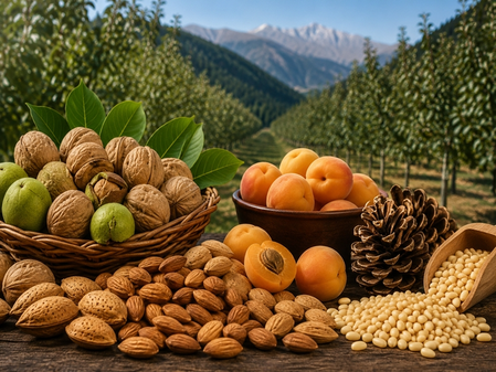Himachal to roll out High Value Nut Mission to boost farmers’ income Himachal to roll out High Value Nut Mission to boost farmers’ income