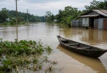 Flood situation improves in Assam, only Dhemaji remains affected