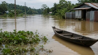 Flood situation improves in Assam, only Dhemaji remains affected
