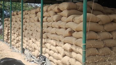 TN delta farmers seek faster paddy procurement as stocks pile up in open centres