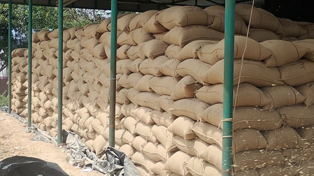 TN delta farmers seek faster paddy procurement as stocks pile up in open centres