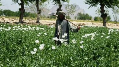 Balochistan chaos gives ISI fresh opportunity to push drugs into India Balochistan chaos gives ISI fresh opportunity to push drugs into India