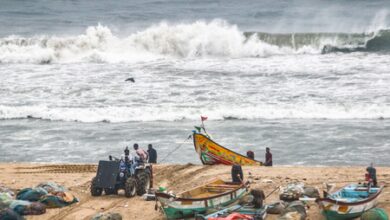 Heatwave conditions to persist across TN; IMD warns of rough seas, cautions fishermen Heatwave conditions to persist across TN; IMD warns of rough seas, cautions fishermen