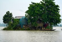 Assam flood situation remains grim; over 57,000 people affected, one dies Assam flood situation remains grim; over 57,000 people affected, one dies