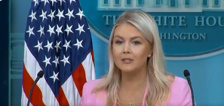 Trump to unveil election integrity findings Trump to unveil election integrity findings
