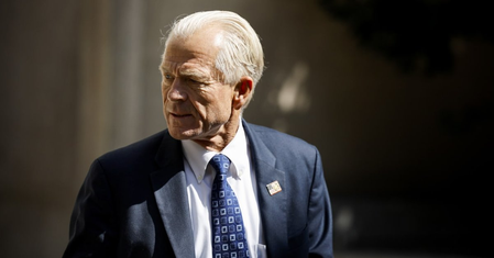 Trump official Peter Navarro urges election overhaul Trump official Peter Navarro urges election overhaul
