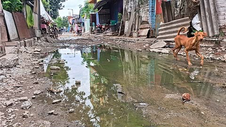 TN orders environmental audit of 28 urban water, sewerage projects; study on manual scavenging TN orders environmental audit of 28 urban water, sewerage projects; study on manual scavenging
