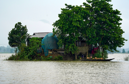 Assam flood: Ministers review flood situation in upper districts as rescue operations intensify Assam flood: Ministers review flood situation in upper districts as rescue operations intensify
