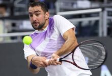 Cilic & coach Visak split after seven-year association Cilic & coach Visak split after seven-year association