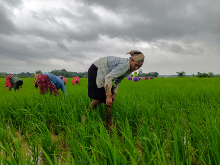 Cabinet okays continuation of PM-KISAN scheme from 2026-27 to 2030-31 with Rs 3.15 lakh crore outlay Cabinet okays continuation of PM-KISAN scheme from 2026-27 to 2030-31 with Rs 3.15 lakh crore outlay