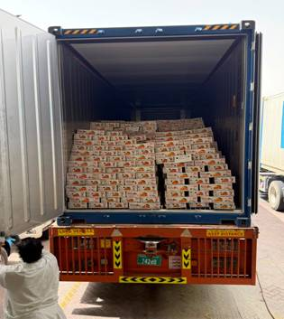 12.5 tonnes of UP mangoes exported to Dubai by sea, opening cost-effective trade route 12.5 tonnes of UP mangoes exported to Dubai by sea, opening cost-effective trade route