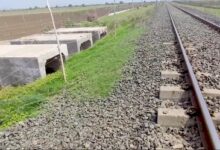 India’s first railway lion underpass completed in Gujarat