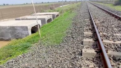 India’s first railway lion underpass completed in Gujarat