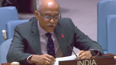 India levels diplomatically-worded criticism of OIC over Kashmir India levels diplomatically-worded criticism of OIC over Kashmir