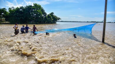 Assam flood: Disaster Management Authority issues warning for rising river water level Assam flood: Disaster Management Authority issues warning for rising river water level