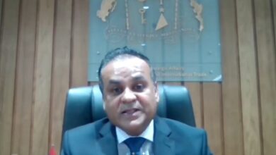 Partnership with India blueprint for collective future of Global South: Mauritius FM