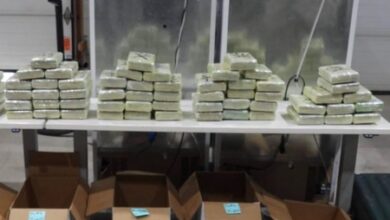Huge smuggling racket busted in Canada, leads to mammoth seizure of 1.7 tonnes illegal drugs (Ld) Huge smuggling racket busted in Canada, leads to mammoth seizure of 1.7 tonnes illegal drugs (Ld)