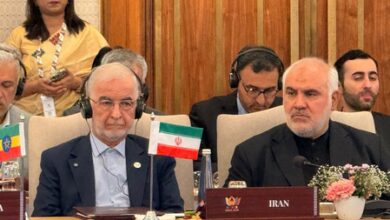 Iran urges BRICS members to condemn aggression, violations of national sovereignty