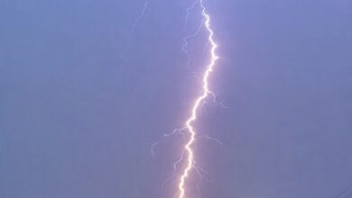 Four killed, two women critically injured in lightning strike in Bihar’s Nawada