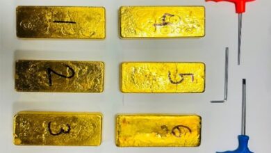 DRI busts two gold-smuggling syndicates, seizes gold worth Rs 23.63 crore; eight arrested DRI busts two gold-smuggling syndicates, seizes gold worth Rs 23.63 crore; eight arrested